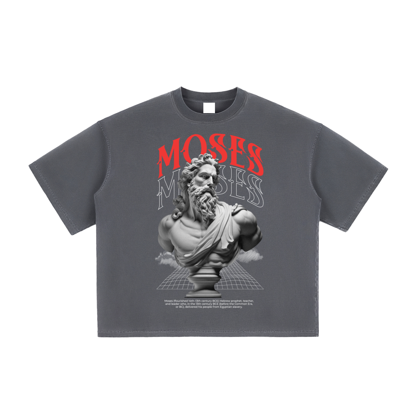 Moses Boxy T-Shirt