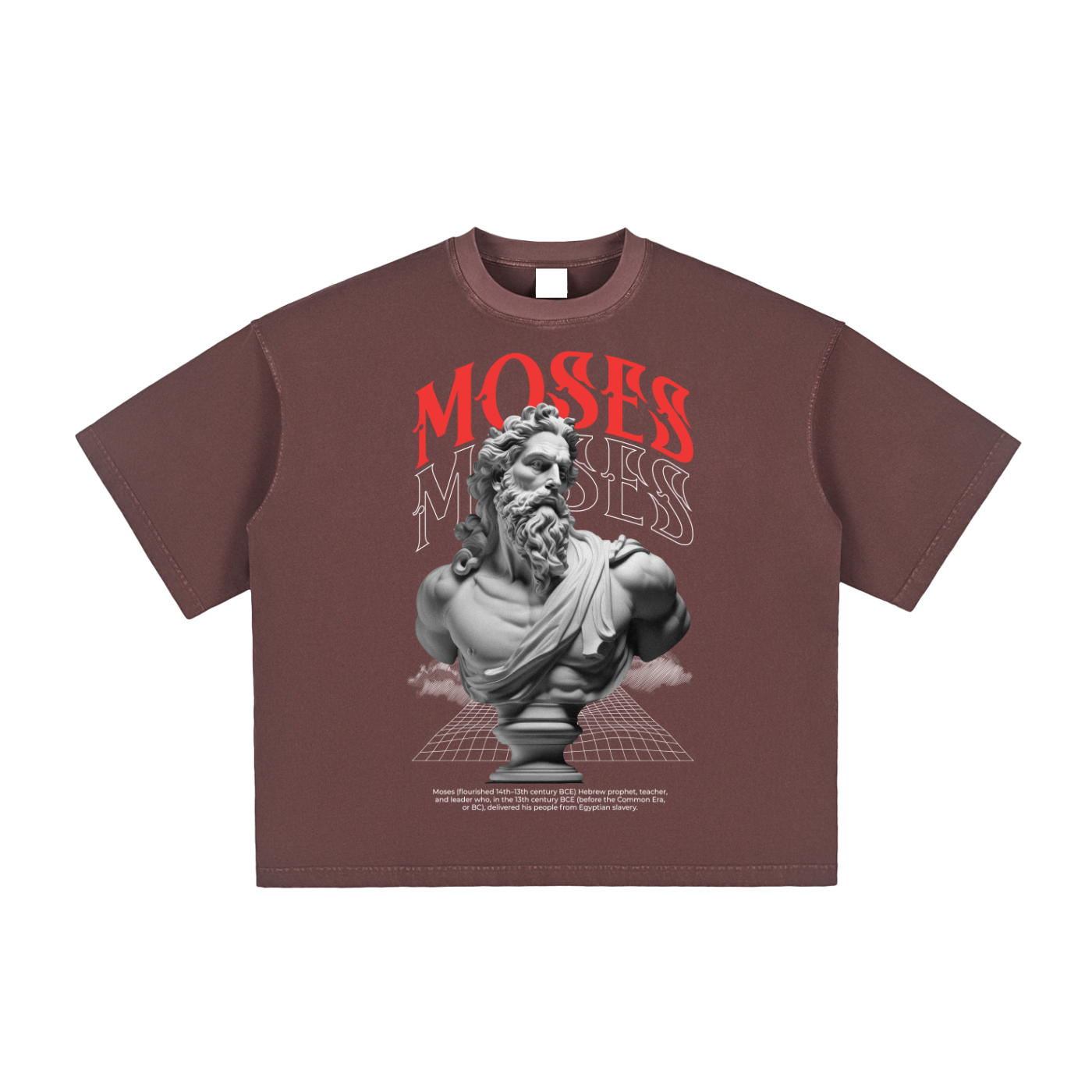 Moses Boxy T-Shirt